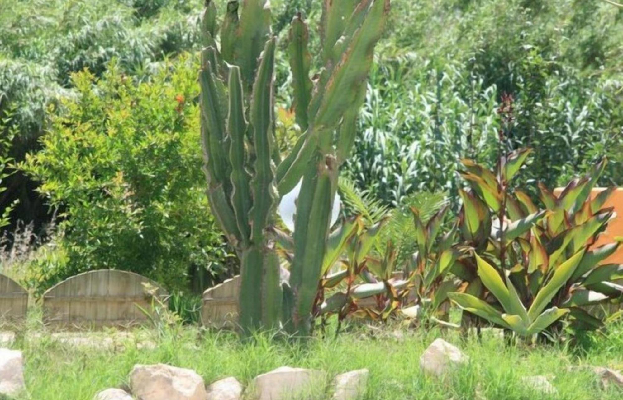 Villa El Minero Gonnesa Ngoại thất bức ảnh